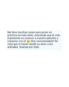 Testimonio familia 3