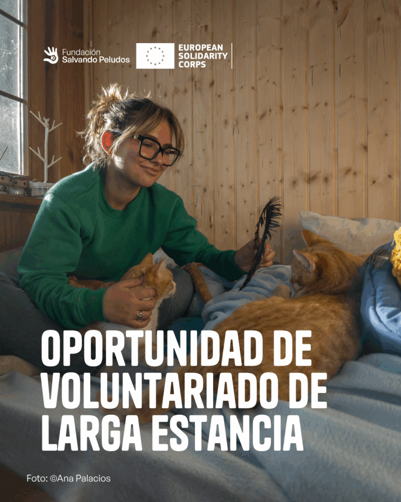 Laura jugando con una gata