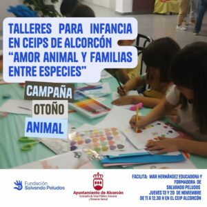 Talleres amor animal