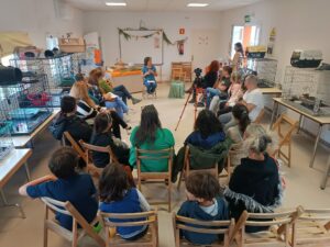 Cat Café en CIPA Alcorcón