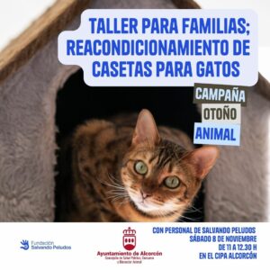 Cartel Taller de Reacondicionamiento de casetas para Gatos