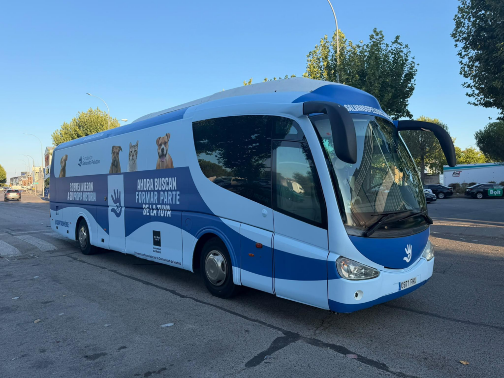 Autobús caravana superhéroes peludos