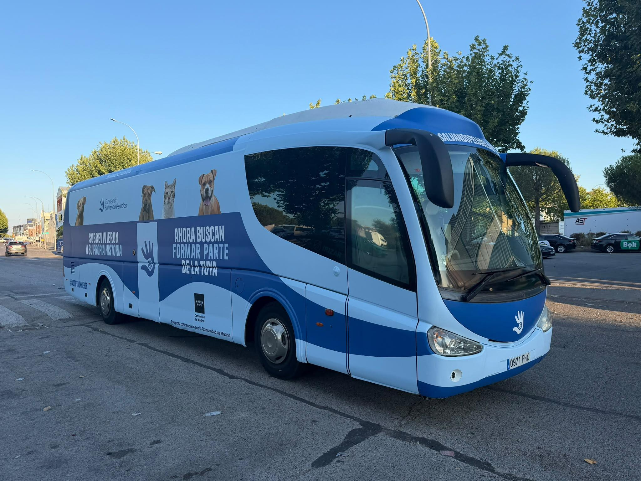 Autobús caravana superhéroes peludos